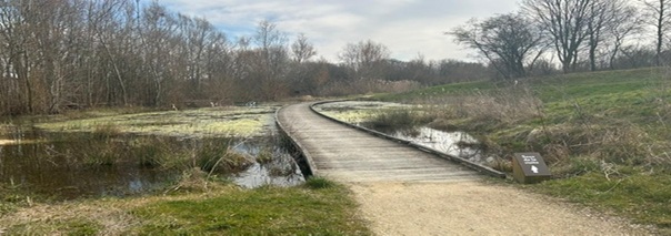 parc plateau d'avron